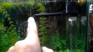 диффузор co2 для аквариума