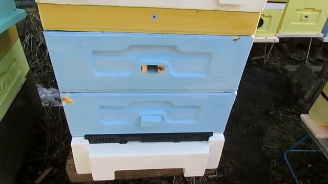 ответы на вопросы по улью биненхаус  bienenhaus  - верхний или нижний леток в улье какой открыть