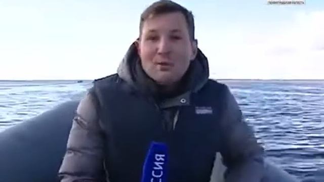 Корюшка пошла на нерест смотреть онлайн