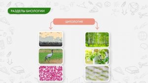 Биология 5 класс. Биология и ее разделы. Кому нужны биологические знания?