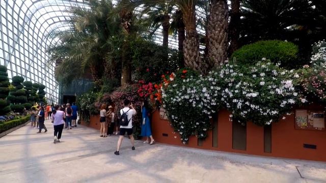 Flower Dome World's Largest Greenhouse : Gardens by the Bay SG Part 1 смотреть онлайн