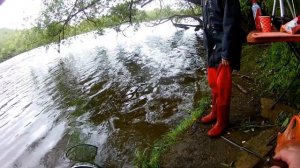 Воскресенск М р  Рыбалка с Диманом бешеный клёв