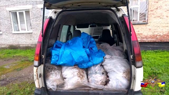 Силовики в Бурятии изымают нерестовый омуль тоннами смотреть онлайн