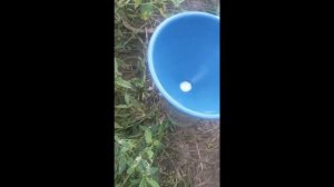 Приготовление железного купороса своими руками и ньюанс для осаждения драг металлов