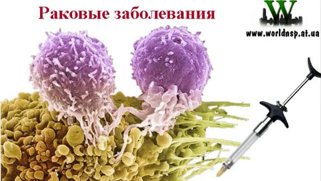 Школа правильного питания NSP.