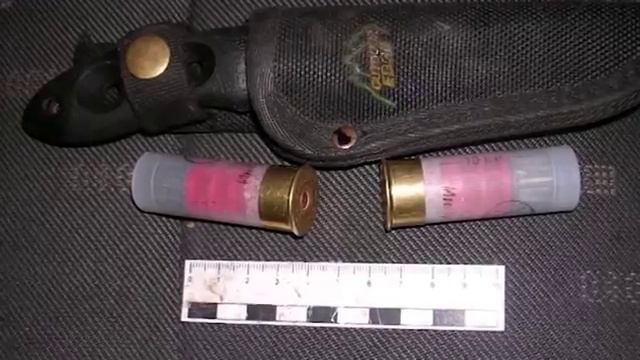 Задержаны подозреваемые в незаконной охоте на диких животных смотреть онлайн