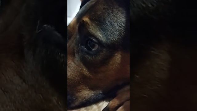 оце чудо природи ?