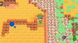 ПРЯТКИ НА КАРТЕ КОЛЕТТ! НОВЫЙ МИНИ РЕЖИМ BRAWL STARS! КОНЦЕПТ