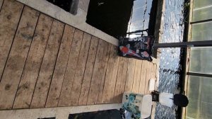 Кои едят  корм BODAPRO 💯☀️ кормёжка на Коиферме