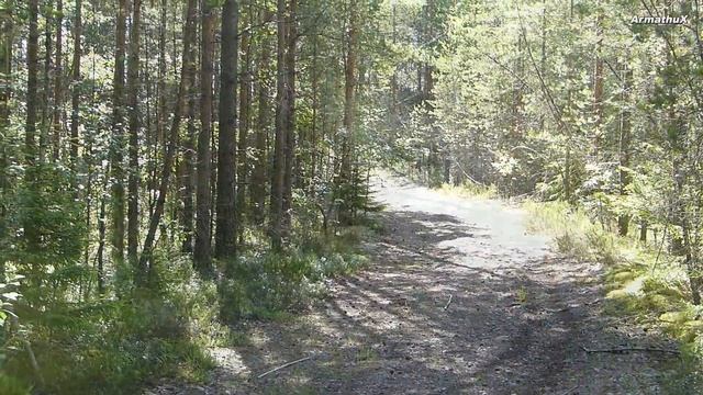 BSE 160 PitBike Riding смотреть онлайн