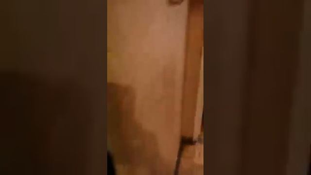 василисы кожиной