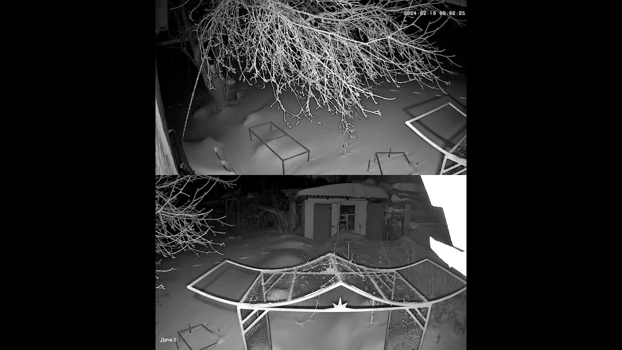 Куница 2 смотреть онлайн