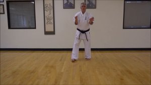 Uechi Ryu Karate - Hojo Undo - Basic Techniques