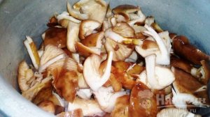 Вареные опята с чесноком и растительным маслом