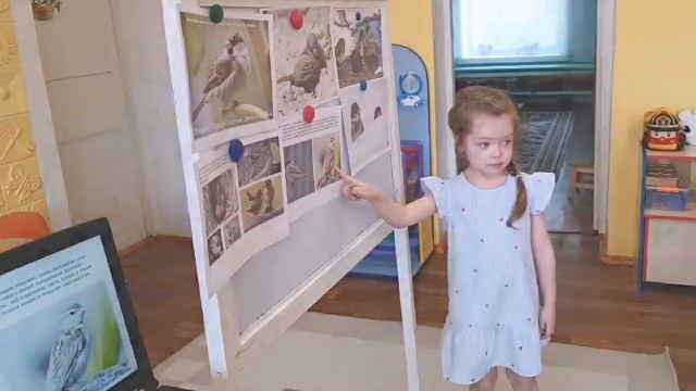 День леса 21 марта смотреть онлайн