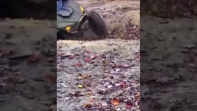 Однако