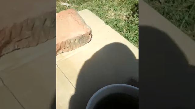 Что будет если добавить оскарбинки в гозеровную воду смотреть онлайн