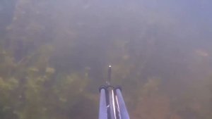 Подводная охота на Москва реке!