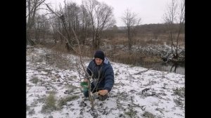 Побелка плодовых деревьев Когда и чем белить
