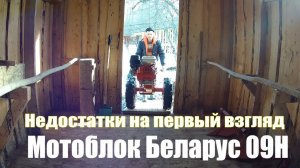 Купил фрезу к мотоблоку мтз Беларус, навесное, что НЕ понравилось в мотоблоке Беларус 09H