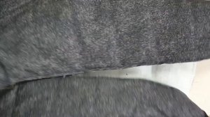 Жилетка сшить своими руками. Дутая жилетка на молнии. Как вшить молнию в куртку