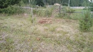 Заготовка сена в огороде. Покос удался.