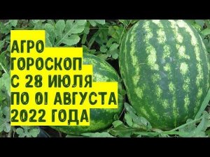 Агрогороскоп с 28 июля по 01 августа 2022 года