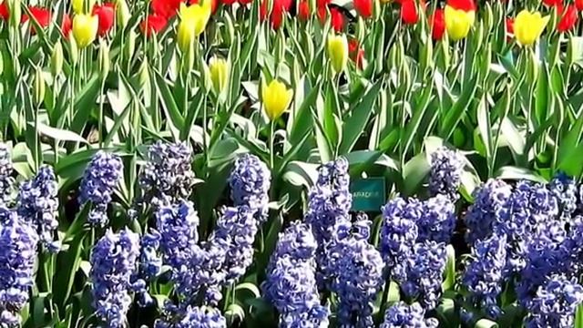 The First Thanksgiving Story смотреть онлайн