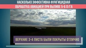 Эффективна ли фунгицидная обработка при норме расхода 5-6 л/га?