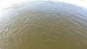 Обзор рыболовной базы Ветлянка, Астрахань