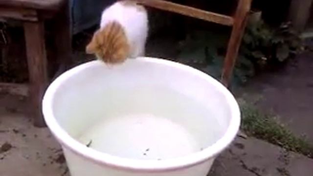 Ловись рыбка....mp4 смотреть онлайн