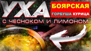 УХА - БОЯРСКАЯ из ГОЛОВ ГОРБУШИ на КУРИНОМ БУЛЬОНЕ