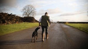 How To Teach Your Dog To Walk To Heel In Seconds