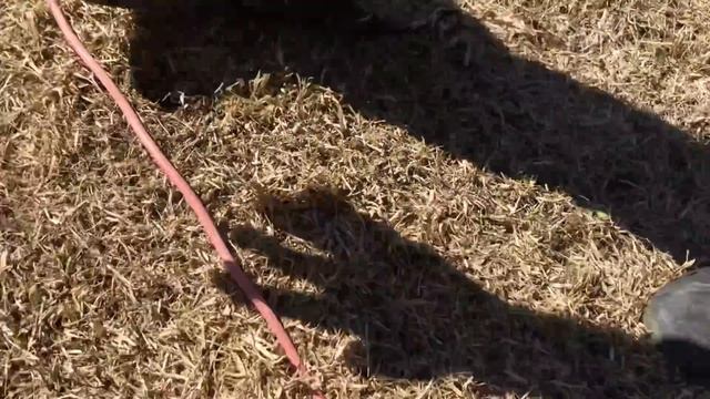 АЭРАЦИЯ ГАЗОНА РАННЕЙ ВЕСНОЙ смотреть онлайн