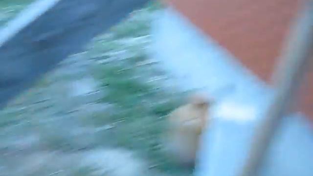 Строительные леса конверты. Как быстро сделать леса смотреть онлайн