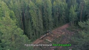 Плюсы жизни в Сибири / advantages of living in Siberia  #сибирь, #siberia