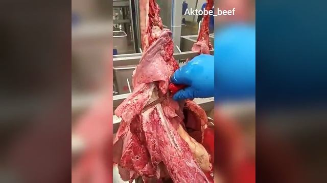 Ветеринарно-санитарный осмотр и экспертиза мяса смотреть онлайн