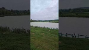 пруд Волково белгородская обл.