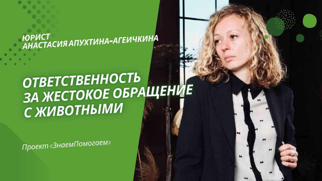 Юрист Анастасия Апухтина-Агеичкина об ответственности за жестокое обращение с животными