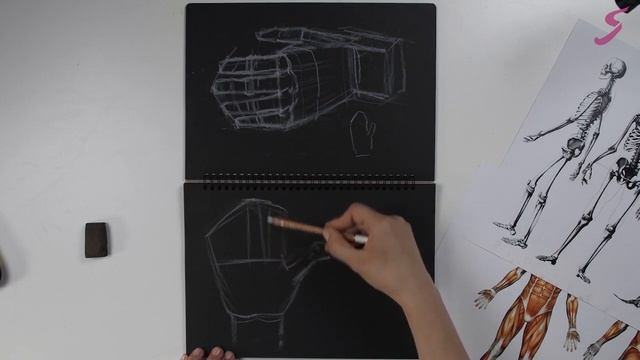 Рисунок. Фигура человека. Рука. Кисть смотреть онлайн