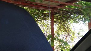 Автомобильная антенна Орион 107А полностью автоматическая