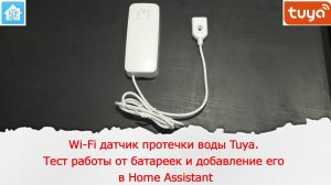 Wi-fi датчик протечки воды Tuya на батарейках. Добавление его в Home Assistant.