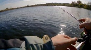 Ловля щуки на чабик от страйк про.