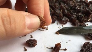 Изюм из винограда Соммерсет Сидлис.