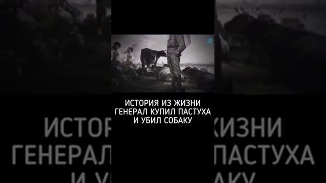 ИСТОРИЯ ИЗ ЖИЗНИ ГЕНЕРАЛ И ПАСТУХ 🤔🤔 смотреть онлайн