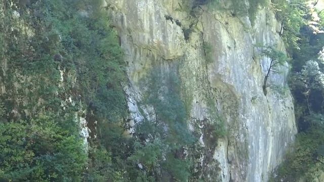 02_05_2013_АДЛЕР_ДЕЛЬФИНЫ_Б.АХУН_ОРЛИНЫЕ СКАЛЫ.mp4 смотреть онлайн