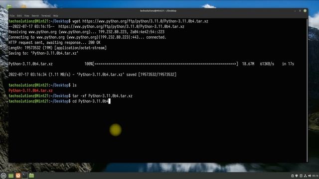 How to Install Python 3.11.0 on Linux | Python 3.11.0 Installation on Linux Mint 21 смотреть онлайн