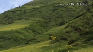 Тляратинский район природа