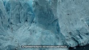 Звёздный разум | Новый вирус | PREMIER