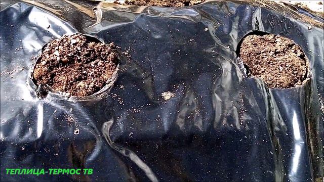 "ДЫРОКОЛ" ДЛЯ ПОСАДКИ КЛУБНИКИ?//Самоделка✌ смотреть онлайн